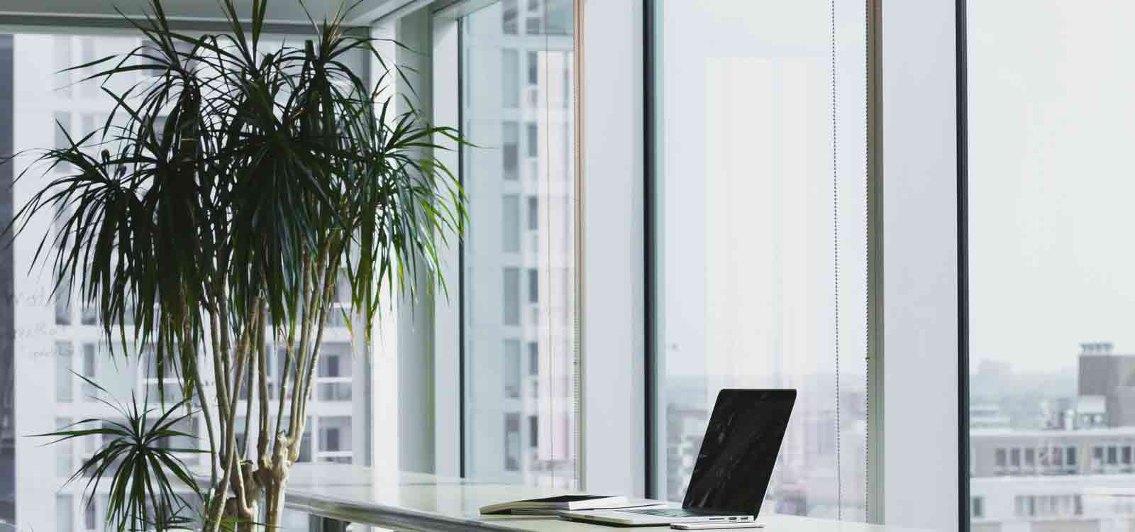 免费ddos攻击网页端